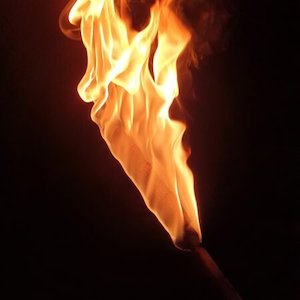 Products: Flaming Metal Fish