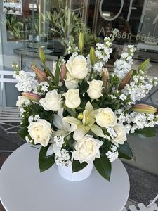 Products: EA09 WHITE FLOWERS IN POT - Flavells Floral Boutique