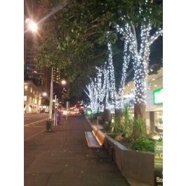 Products: 12 Meters Extendable Fairy Lights - Cool White (7000K) - Green Wire