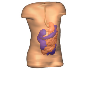 Products: Modeling solutions - FlexiMap