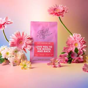 Valentine's Day - Love You To The Moon And Back