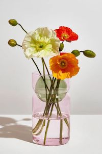 Gifts For The Hostess With The Mostest: Balance Pink Green 22cm Vase