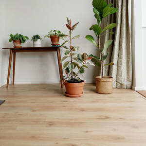 Products: Oasis Standard