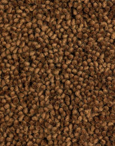Cut Pile Carpet: Bremworth Te Aroha
