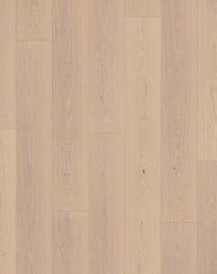 Timber: Parky Summit