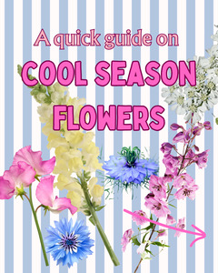 Digital: FREE - Cool season flowers- quick digital guide