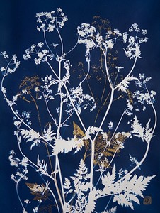 Products: Andrea Zvadova Photograph - Florafauna