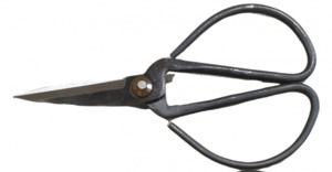 Products: Japanese Herb Scissors - Large - Florafauna