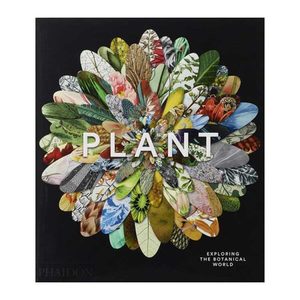 Products: Plant: Exploring the Botanical World - Florafauna