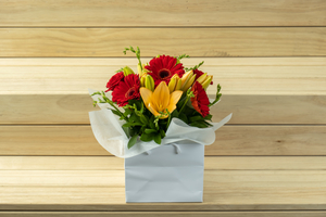 Arranged Flowers: Bright Summer Pot - Botany Downs Florist & East Auckland same day delivery flowers Howick Florist