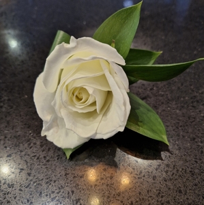 buttonhole - Botany Downs Florist & East Auckland same day delivery flowers &hellip;