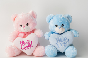 It's a Girl/Boy - Botany Downs Florist & East Auckland same day delivery flo&hellip;