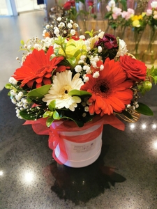 Arranged Flowers: FLORIST CHOICE CHRISTMAS ARRANGMENT - Botany Downs Florist & East Auckland same day delivery flowers Howick Florist