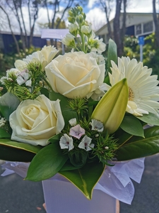 FLORIST CHOICE WHITE BOX ARRANGED FLOWRERS - Botany Downs Florist & East Auc&hellip;