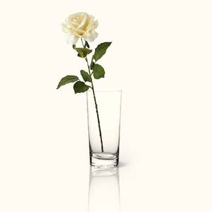 Wedding Florist Auckland: Stem Glass - Rental