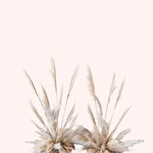 Wedding Florist Auckland: Toe Toe Stands