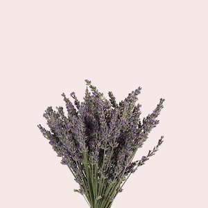 Dried Lavender
