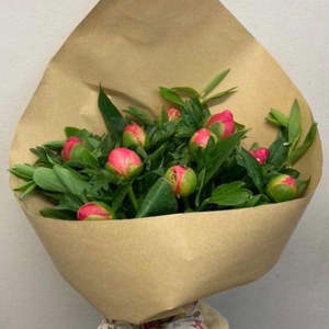Bouquet And Arrangements: Peony Bouquet (in season)