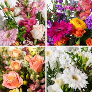 Mothers Day 2024: Thistle Be Perfect for Mum (Florist choice bouquet)