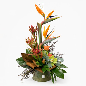Mothers Day 2026: Take Mum to the Tropics Mother's day arrangement