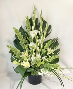 Serene White