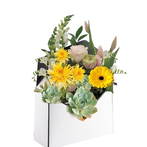 Envelope Box