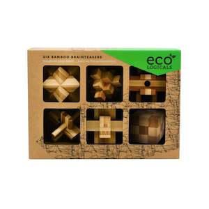 Homeware: Project Genius  Ecological Brainteasers - 6 pack EC003