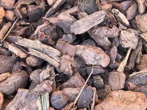 Barks & Mulches: Medium Nugget Bark