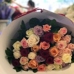 Roses Roses Roses