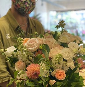 Peaches and Apricots and Pastels