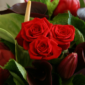 Delicious Reds