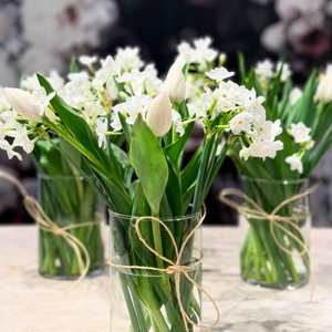 Products: Spring Treat