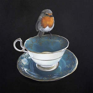 Greeting Cards: Robin's Rest Blank Card