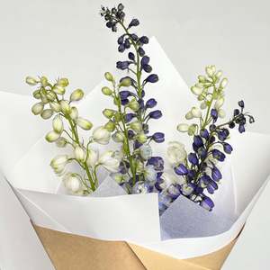 Sympathy Flowers: Seasonal Delphinium Wrap