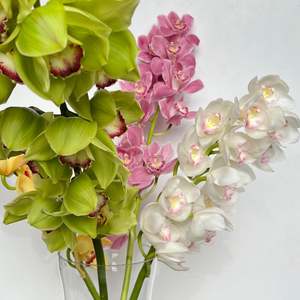 Bouquets: Cymbidium Orchid Stem