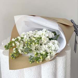 Stock Wrap