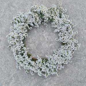 Wreath | Small