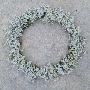 Dried Blooms: Wreath | Medium
