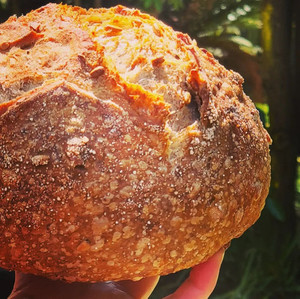Products: walnut and sunflower seed sourdough FlourBro