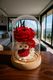 Red Rose LED Light Dome Flower Boutique
