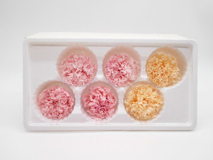Dried flower Carnation