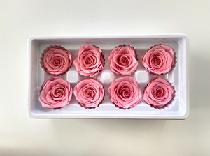 Products: Preserved Roses Pastel Pink 4 - 5 cm diameter rose Flower Boutique