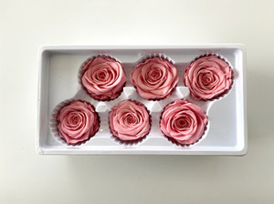 Products: Preserved Roses Pastel Pink 5-6 cm diameter rose Flower Boutique