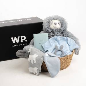 Blue Baby Sloth Gift Basket