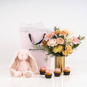 Gifts Baby Gifts: Baby Girl Sweetheart Combo Gift