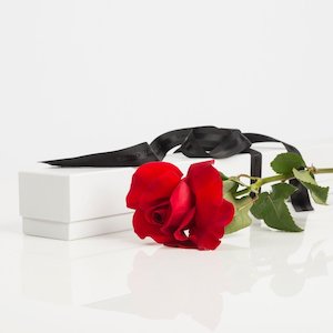 Single Red Rose