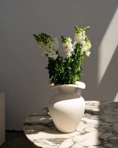 Elegant White Snapdragon Bunch