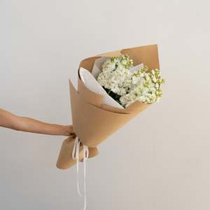 White Stock Flower Bunch