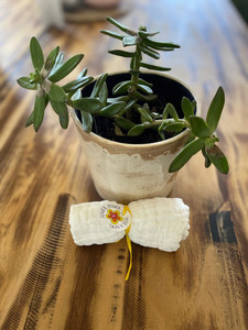 Products: Single Skin Soaking Cloth Flower Power