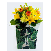 Products: Bright and Cheery